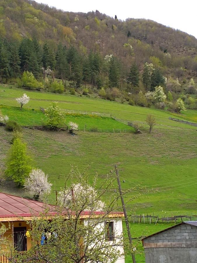 Отель Гостевой дом Saba Местия Экстерьер фото